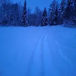 Arctic River View