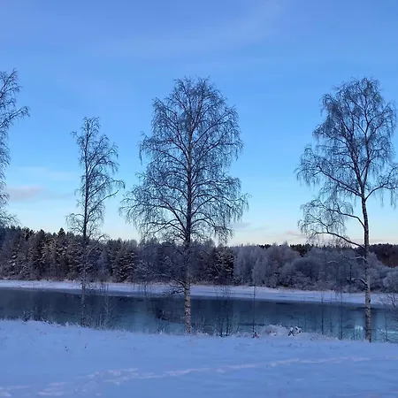 Arctic River View *