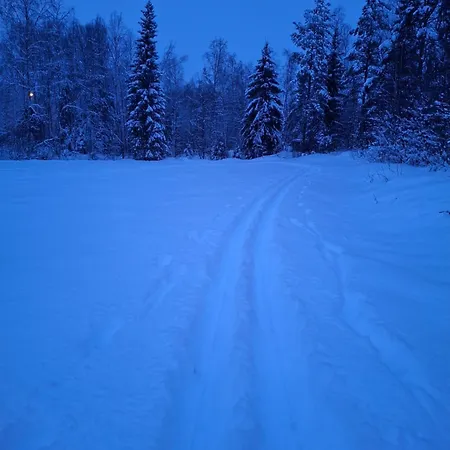 Arctic River View