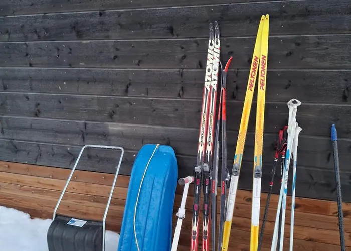 Arctic River View ロヴァニエミ