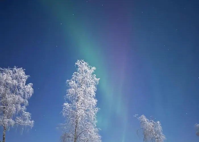 Arctic River View 別荘 *